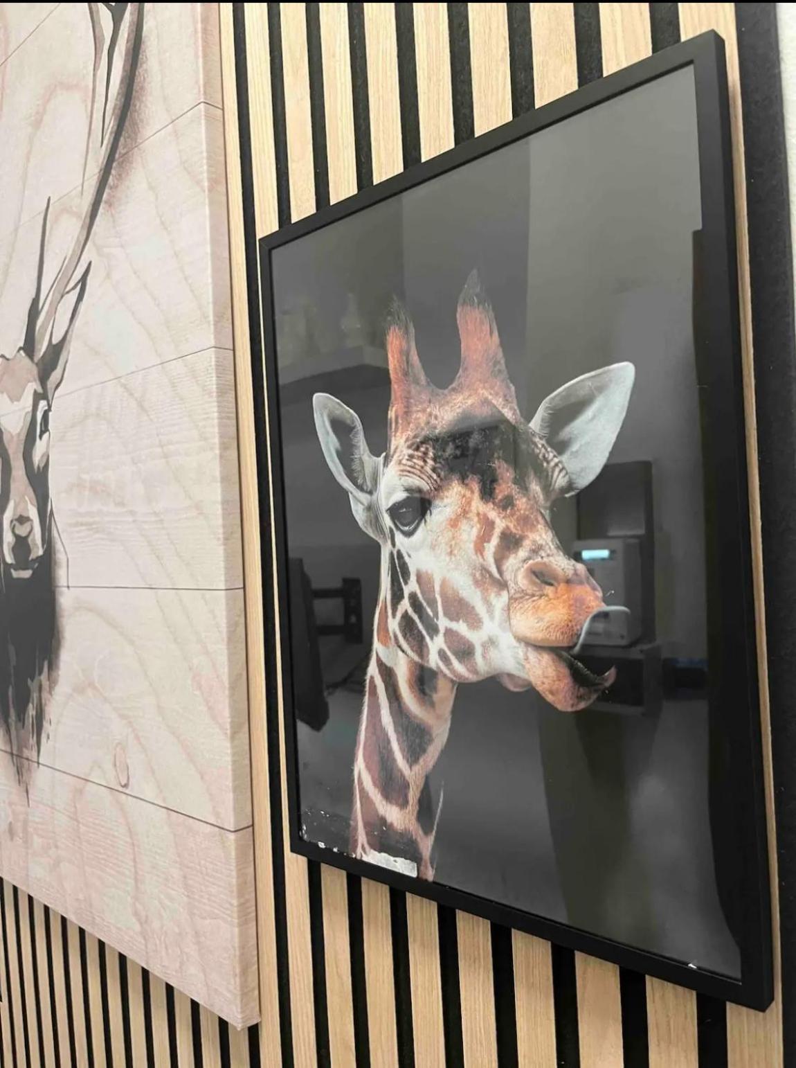 ミラノWild Houseアパートメント エクステリア 写真